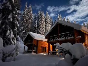 Власовъ Pamporovo